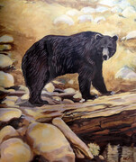 Grizzly Habitat